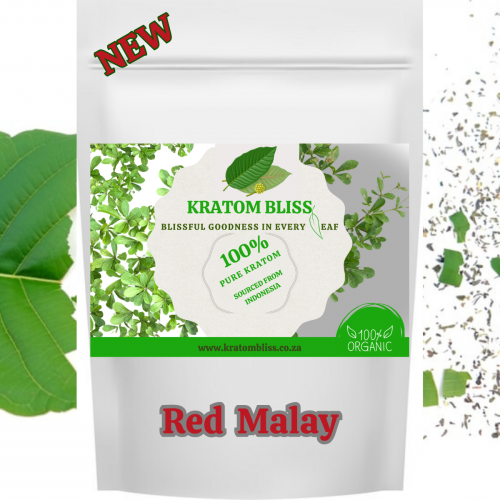 Red Malay